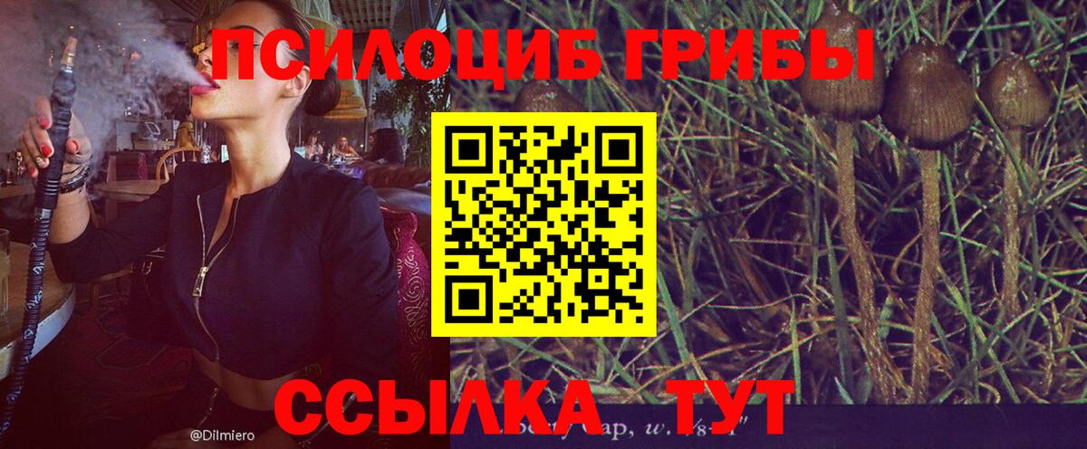 Псилоцибиновые грибы мухоморы Кольчугино