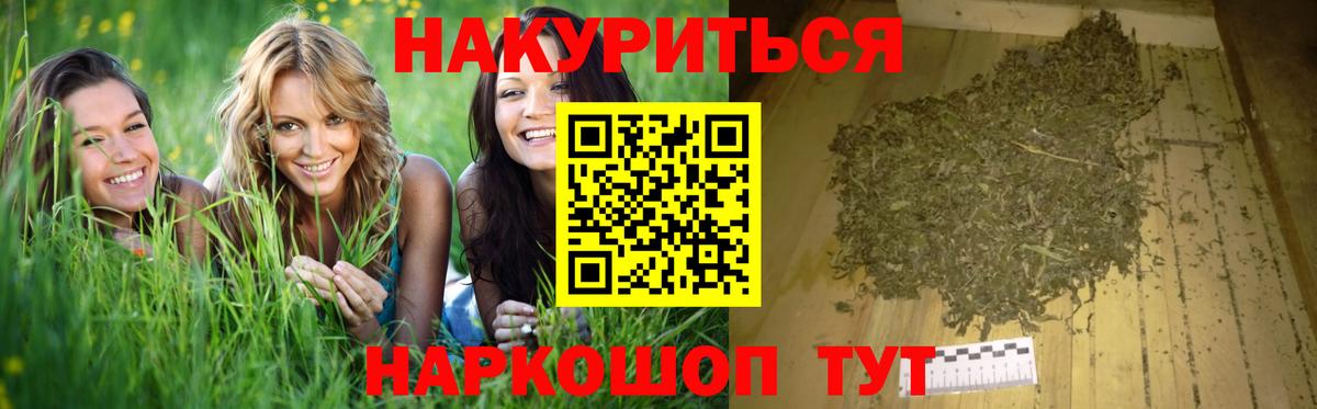 Конопля MAZAR Кольчугино
